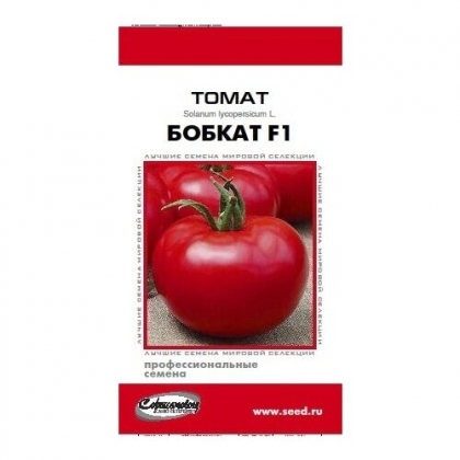 Бобкат томат характеристика отзывы фото "Томат Бобкат F1, 10 семян" арт. 101510792693 купить в Брянске недорого - Товар на картинке можно купить.